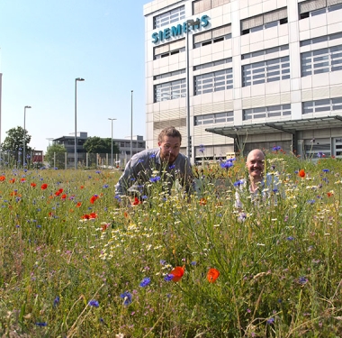 Gründer Malte Glatthaar und Moritz Lohmann in einer Wildblumenwiese bei Siemens Mobility in Berlin